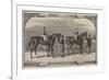 The Winners of the Derby and the Oaks, 1860-Benjamin Herring-Framed Giclee Print