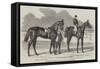 The Winners of the Derby and the Oaks-Benjamin Herring-Framed Stretched Canvas