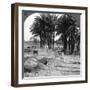 The Winnowing of the Grain after Threshing, Egypt, 1905-Underwood & Underwood-Framed Photographic Print