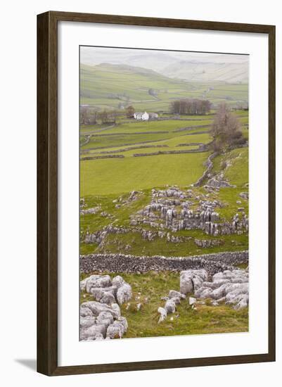 The Winskill Stones Area of the Yorkshire Dales, Yorkshire, England, United Kingdom, Europe-Julian Elliott-Framed Photographic Print