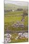 The Winskill Stones Area of the Yorkshire Dales, Yorkshire, England, United Kingdom, Europe-Julian Elliott-Mounted Photographic Print