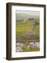 The Winskill Stones Area of the Yorkshire Dales, Yorkshire, England, United Kingdom, Europe-Julian Elliott-Framed Photographic Print