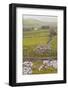 The Winskill Stones Area of the Yorkshire Dales, Yorkshire, England, United Kingdom, Europe-Julian Elliott-Framed Photographic Print