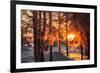 The Winter Park at Sunset. Hoarfrost on Branches Macro. Rime on Trees. Frost and Snow on the Branch-Sergey Zaykov-Framed Photographic Print