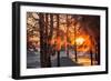 The Winter Park at Sunset. Hoarfrost on Branches Macro. Rime on Trees. Frost and Snow on the Branch-Sergey Zaykov-Framed Photographic Print