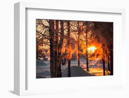The Winter Park at Sunset. Hoarfrost on Branches Macro. Rime on Trees. Frost and Snow on the Branch-Sergey Zaykov-Framed Photographic Print