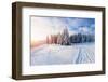 The Winter Road-standret-Framed Photographic Print