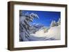 The winter sun shines on the snow covered woods and the landscape around Maloja Canton of Engadine -ClickAlps-Framed Photographic Print