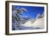 The winter sun shines on the snow covered woods and the landscape around Maloja Canton of Engadine -ClickAlps-Framed Photographic Print