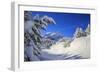 The winter sun shines on the snow covered woods and the landscape around Maloja Canton of Engadine -ClickAlps-Framed Photographic Print