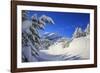 The winter sun shines on the snow covered woods and the landscape around Maloja Canton of Engadine -ClickAlps-Framed Photographic Print