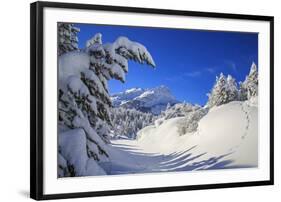 The winter sun shines on the snow covered woods and the landscape around Maloja Canton of Engadine -ClickAlps-Framed Photographic Print