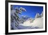 The winter sun shines on the snow covered woods and the landscape around Maloja Canton of Engadine -ClickAlps-Framed Photographic Print