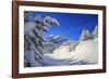 The winter sun shines on the snow covered woods and the landscape around Maloja Canton of Engadine -ClickAlps-Framed Photographic Print