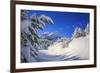 The winter sun shines on the snow covered woods and the landscape around Maloja Canton of Engadine -ClickAlps-Framed Photographic Print