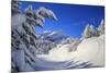 The winter sun shines on the snow covered woods and the landscape around Maloja Canton of Engadine -ClickAlps-Mounted Photographic Print