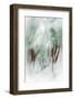 The Winter Woods-Ursula Abresch-Framed Photographic Print