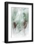 The Winter Woods-Ursula Abresch-Framed Photographic Print