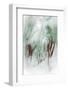 The Winter Woods-Ursula Abresch-Framed Photographic Print