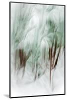 The Winter Woods-Ursula Abresch-Mounted Photographic Print