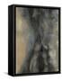 The Winter-Kippi Leonard-Framed Stretched Canvas