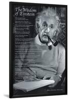 The Wisdom of a Genius-null-Lamina Framed Poster