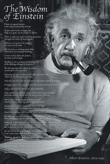 The Wisdom of a Genius-null-Lamina Framed Poster