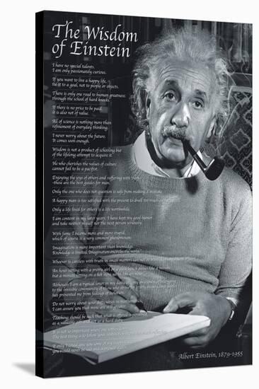 The Wisdom of Einstein-null-Stretched Canvas
