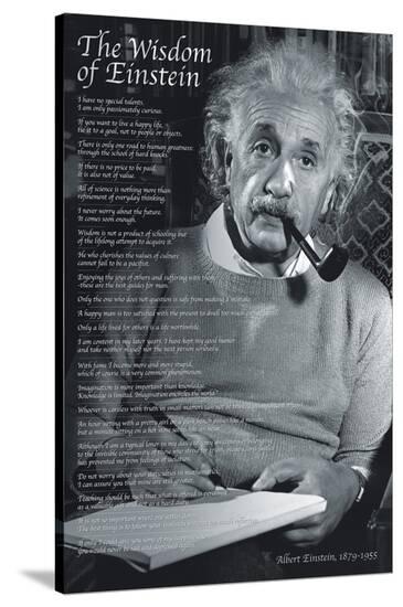 The Wisdom of Einstein--Stretched Canvas