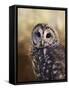 The Wise Owl-Jai Johnson-Framed Stretched Canvas