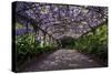 The Wisteria Arbour in Full Bloom-null-Stretched Canvas