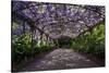 The Wisteria Arbour in Full Bloom-null-Stretched Canvas