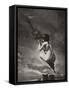 The Witch on Her Broomstick-null-Framed Stretched Canvas