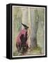 The Witch Spies on Rapunzel-Anne Anderson-Framed Stretched Canvas