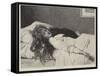 The Witch-John Collier-Framed Stretched Canvas