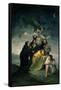 The Witches' Sabbath-Francisco de Goya-Framed Stretched Canvas