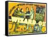 The Wizard of Oz, 1939-null-Framed Stretched Canvas