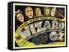 The Wizard of Oz, 1939-null-Framed Stretched Canvas