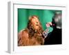 The Wizard of Oz, Bert Lahr, Frank Morgan, 1939-null-Framed Premium Photographic Print