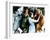 The Wizard of Oz, Jack Haley, Ray Bolger, Judy Garland, Bert Lahr, 1939-null-Framed Photo