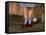 The Wizard of Oz, Judy Garland, 1939-null-Framed Stretched Canvas
