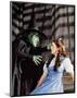 The Wizard of Oz-null-Mounted Photo