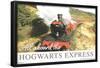 The Wizarding World: Harry Potter - All Aboard The Hogwarts Express-Trends International-Framed Poster