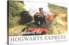 The Wizarding World: Harry Potter - All Aboard The Hogwarts Express-Trends International-Stretched Canvas