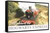 The Wizarding World: Harry Potter - All Aboard The Hogwarts Express-Trends International-Framed Stretched Canvas