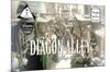 The Wizarding World: Harry Potter - Diagon Alley Shops-Trends International-Mounted Poster