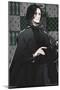 The Wizarding World: Harry Potter - Dynasty Snape-Trends International-Mounted Poster