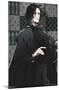 The Wizarding World: Harry Potter - Dynasty Snape-Trends International-Mounted Poster