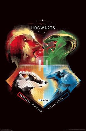 The Wizarding World: Harry Potter - Hogwarts House Crests - Poster, 22x34
