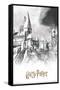 The Wizarding World: Harry Potter - Illustrated Hogwarts-Trends International-Framed Stretched Canvas